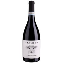 Montepulciano d´Abruzzo DOC - Salvatore Lilli