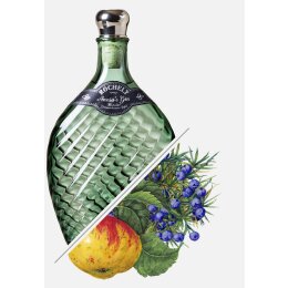 Rochelt Annia`s Gin 50 % vol. - 0,35